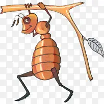 蚂蚁 蜜蜂 大黄蜂-空若网 蚂蚁 蜜蜂 大黄蜂-空若网