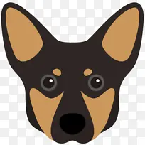 兰开夏郡希勒 澳大利亚牛狗 小狗-空若网 兰开夏郡希勒 澳大利亚牛狗 小狗-空若网