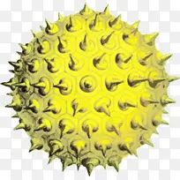 对称 黄色 向日葵-空若网 对称 黄色 向日葵-空若网