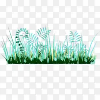 采购产品小麦草 商品 植物茎-空若网 采购产品小麦草 商品 植物茎-空若网