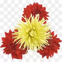 �ջ�ֲ��-�ջ�-������