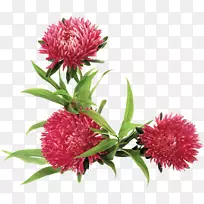 花机剪贴画-菊花-空若网 花机剪贴画-菊花-空若网