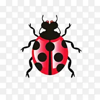 昆虫 软件虫 计算机软件-空若网 昆虫 软件虫 计算机软件-空若网