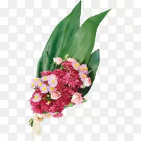 切花菊花-菊花-空若网 切花菊花-菊花-空若网