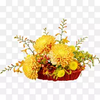 花切花野菊花菊花-空若网 花切花野菊花菊花-空若网