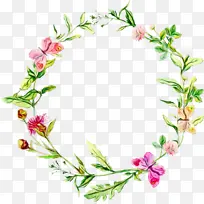 »¨»Ü Ë®²Ê» »¨»·-¿ÕÈôÍø »¨»Ü Ë®²Ê» »¨»·-¿ÕÈôÍø