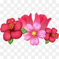 花瓣 一年生植物 切花-空若网 花瓣 一年生植物 切花-空若网