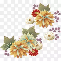 花菊-空若网 花菊-空若网