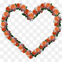 ���� ��ɫ ����-������