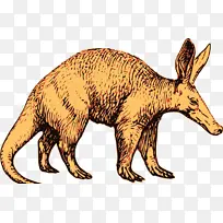 ���� ʳ���� ����-������