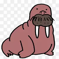 动物世界动物获得海象脊椎动物-海象-空若网 动物世界动物获得海象脊椎动物-海象-空若网