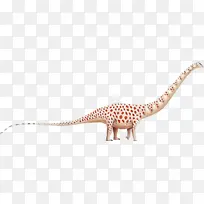 Ѹ���� ���� ��������-������