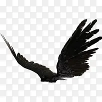 绘画 天使 翅膀-空若网 绘画 天使 翅膀-空若网