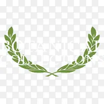 月桂花环 月桂 博客-空若网 月桂花环 月桂 博客-空若网