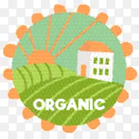 绿色 叶子 橙色-空若网 绿色 叶子 橙色-空若网