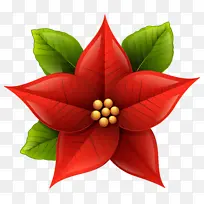 һƷºì Ê¥µ®½Ú ¼ôÌù»Ê¥µ®½Ú-¿ÕÈôÍø һƷºì Ê¥µ®½Ú ¼ôÌù»Ê¥µ®½Ú-¿ÕÈôÍø