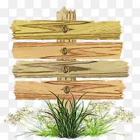 ľͷ �� ֲ��-������