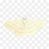 �� �� ����-������