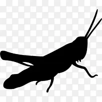 剪影 昆虫 蚱蜢-空若网 剪影 昆虫 蚱蜢-空若网