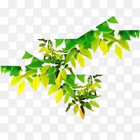 叶子 树枝 椅子-空若网 叶子 树枝 椅子-空若网