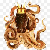 ���� �� ����-������