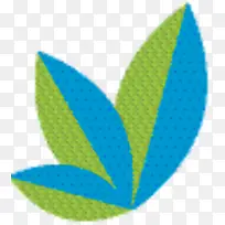 叶子 蓝色 绿色-空若网 叶子 蓝色 绿色-空若网