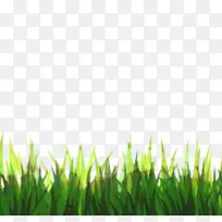 ��ƺ ��Ƶ ��ɫ-������