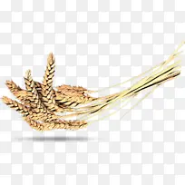 ȫ���� �� �ݿ�-������