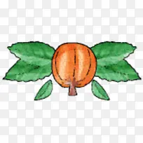 ���� ֲ�ﾥ ��-������