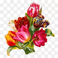 花束郁金香花卉切花植物-空若网 花束郁金香花卉切花植物-空若网