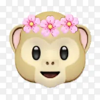 ±Ç×Ó ¿¨Í¨ Á³-¿ÕÈôÍø ±Ç×Ó ¿¨Í¨ Á³-¿ÕÈôÍø