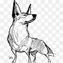 澳大利亚牛狗 粗牧羊犬 绘画-空若网 澳大利亚牛狗 粗牧羊犬 绘画-空若网