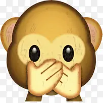 茶 视频 爱情-空若网 茶 视频 爱情-空若网