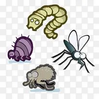 昆虫 寄生虫 害虫防治-空若网 昆虫 寄生虫 害虫防治-空若网