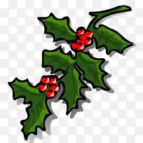 圣诞节 普通冬青 素描-空若网 圣诞节 普通冬青 素描-空若网
