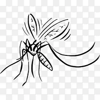 蚊子 昆虫 灭蚊-空若网 蚊子 昆虫 灭蚊-空若网