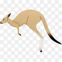 ���� β�� ����-������