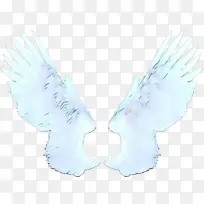 白色 翅膀 羽毛-空若网 白色 翅膀 羽毛-空若网