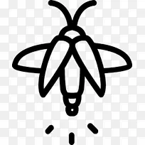 萤火虫 昆虫 电视-空若网 萤火虫 昆虫 电视-空若网