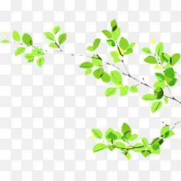 ��֦ �� Ҷ-������