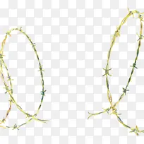 ��֦ ֲ�ﾥ Ҷ-������