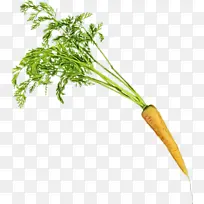 ���ܲ� �߲� ŷ��-������