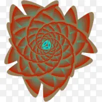 华氏 橙色 花瓣-空若网 华氏 橙色 花瓣-空若网