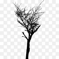 树 树枝 剪影-空若网 树 树枝 剪影-空若网