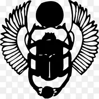 圣甲虫 绘画 甲虫-空若网 圣甲虫 绘画 甲虫-空若网