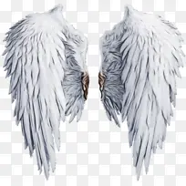 ��ʹ ��ħ �滭-������