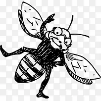 蜜蜂 欧洲黑蜂 昆虫-空若网 蜜蜂 欧洲黑蜂 昆虫-空若网