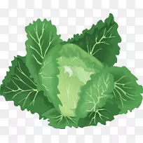 叶菜大白菜剪贴画-蔬菜-空若网 叶菜大白菜剪贴画-蔬菜-空若网