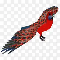 ���������ë๳�������Ұ������Ұ������β��-������