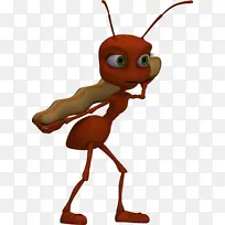 蚂蚁和蚱蜢 蚂蚁 昆虫-空若网 蚂蚁和蚱蜢 蚂蚁 昆虫-空若网